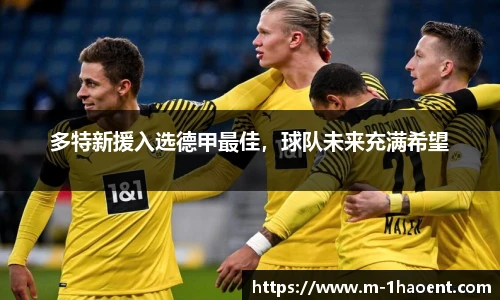 多特新援入选德甲最佳，球队未来充满希望